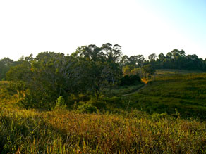 อุทยานแห่งชาติเขาใหญ่ อ.ปากช่อง จ.นครราชสีมา